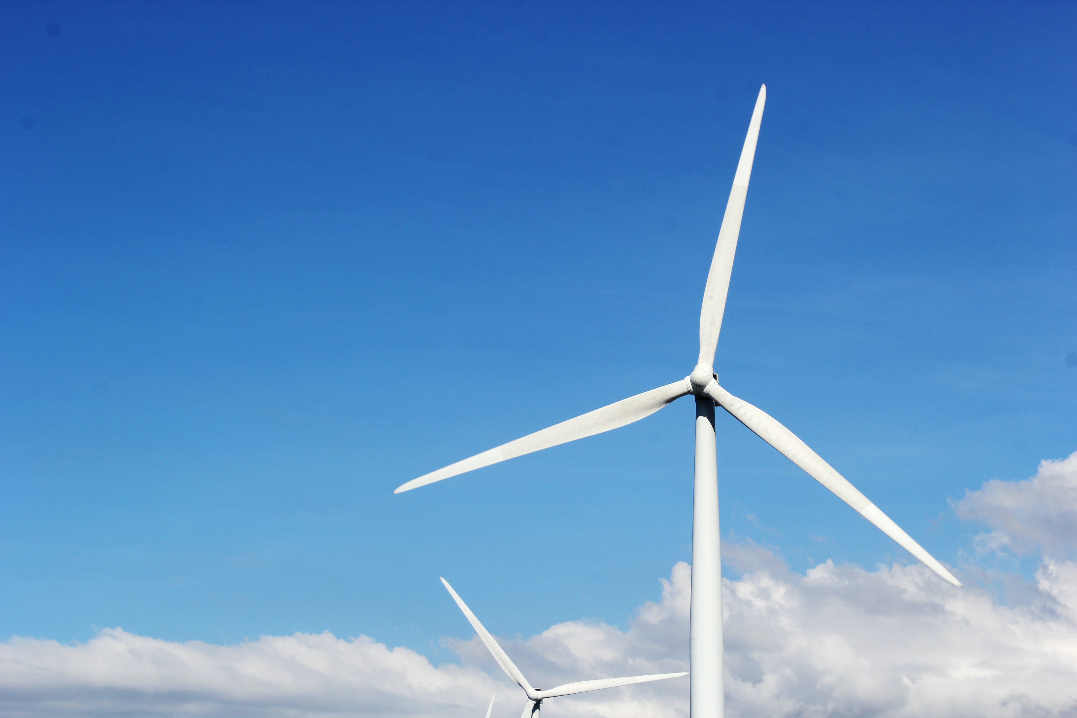 LYNDDAHL invests in green energy